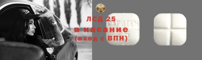 амф Аркадак