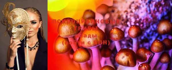 амф Аркадак